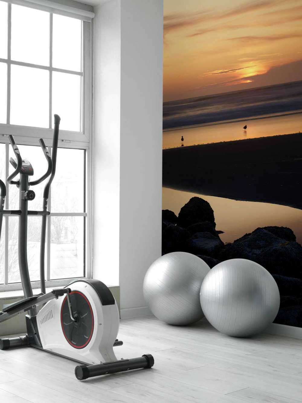 Vögel bei Sonnenuntergang