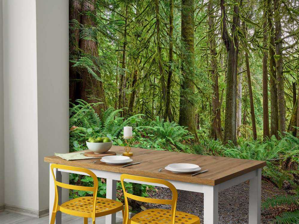 Weg mit Steinen durch den Wald 