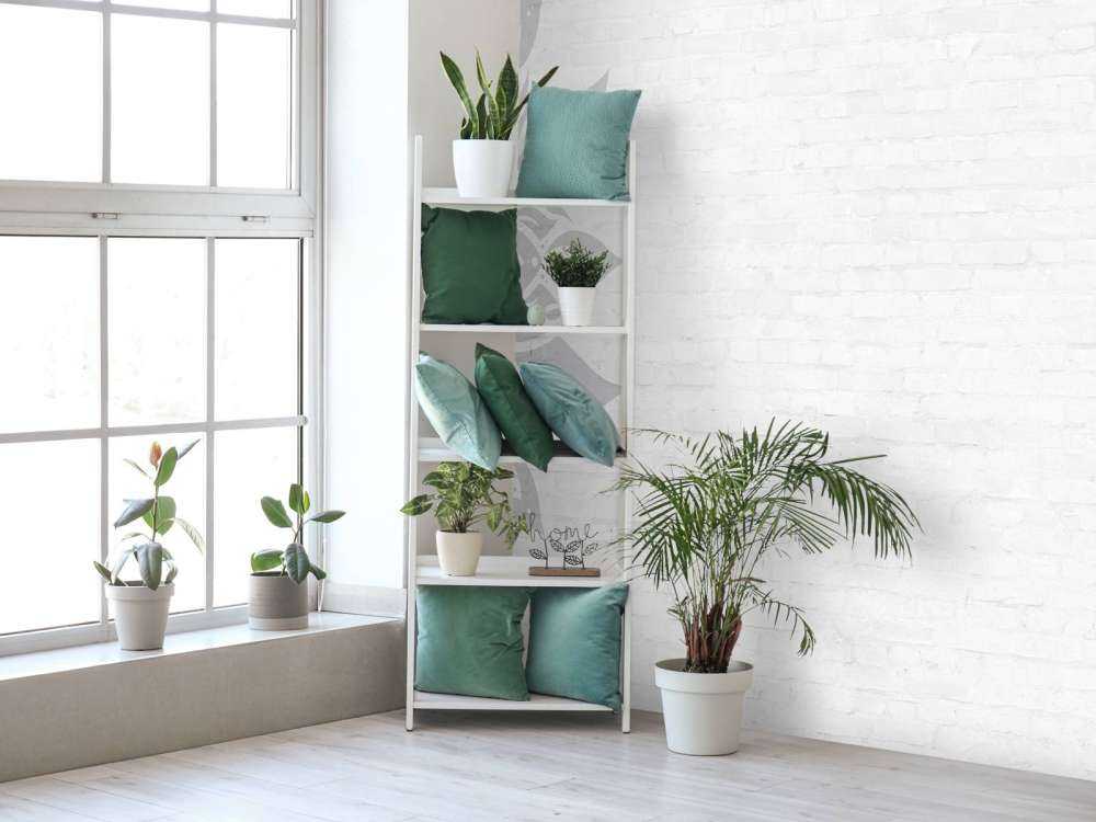 Grau Weiß Mandala Blüte