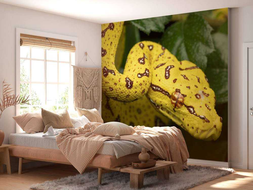 Nahaufnahme Baumpython