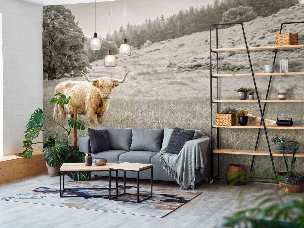 Schottischer Highlander mit Kalb