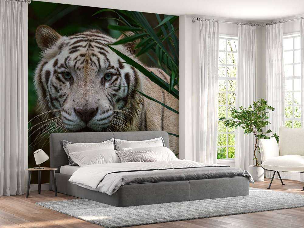 Weißer Tiger