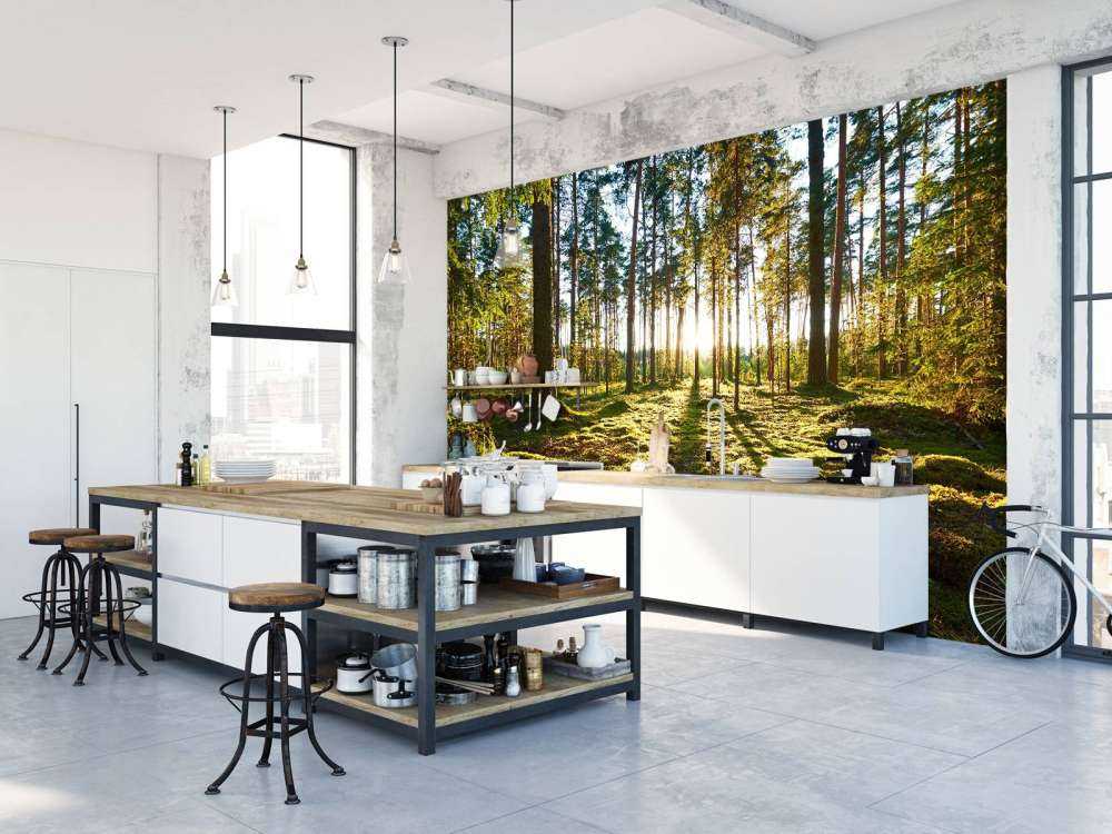 Kiefernwald