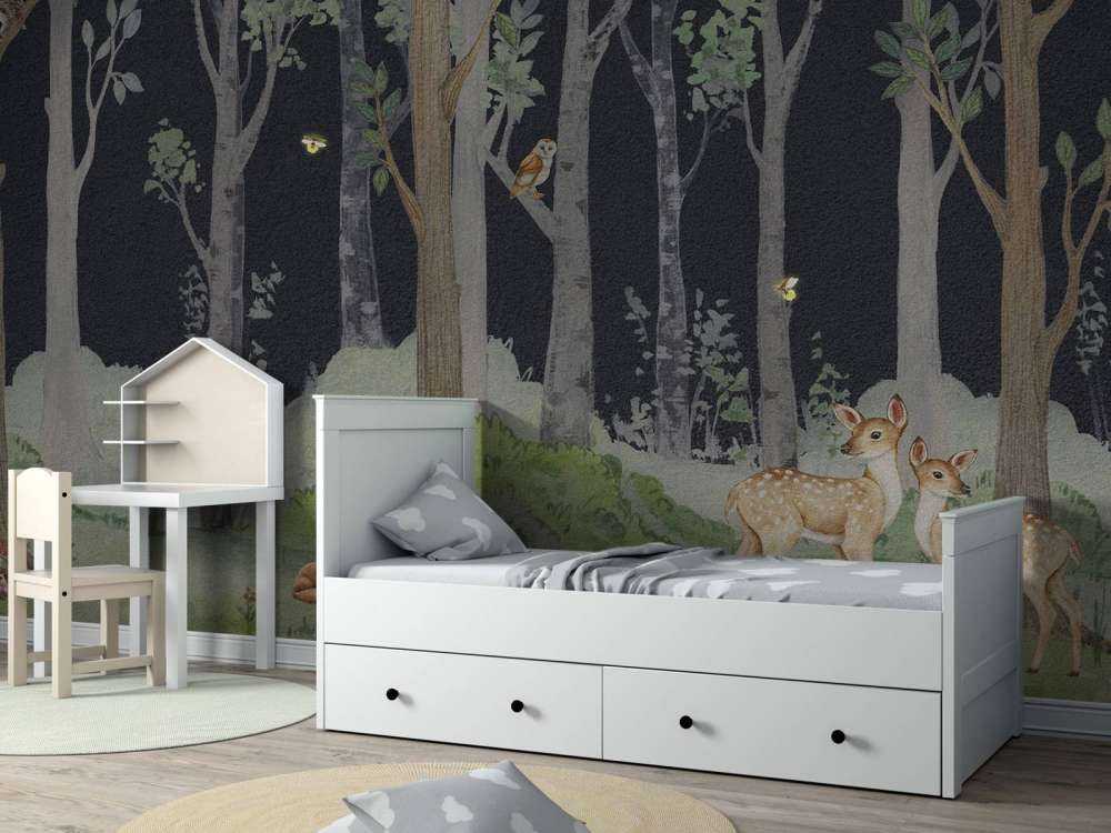 Tiere bei Nacht
