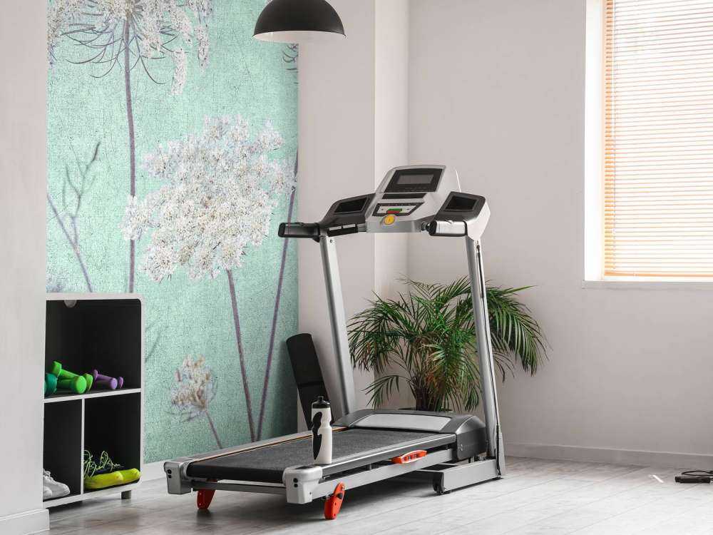 Kuhpetersilie, dunkelgrün