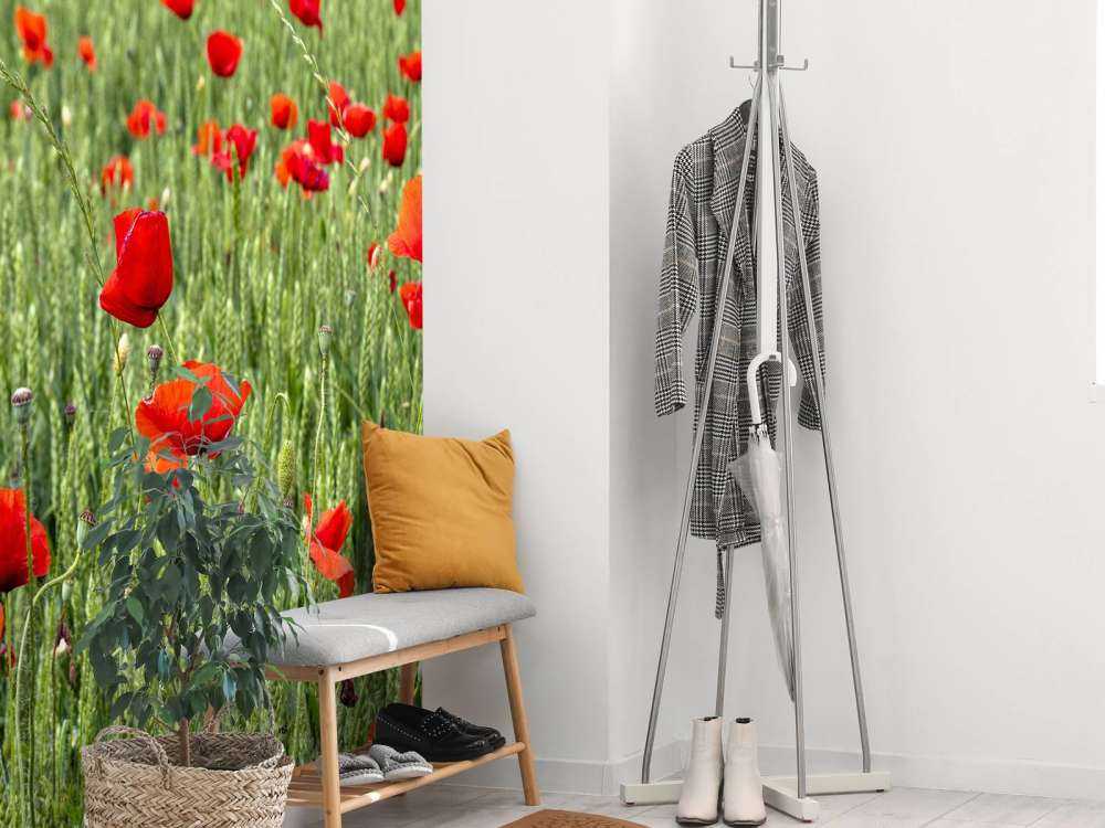 Rote Mohnblumen Feld