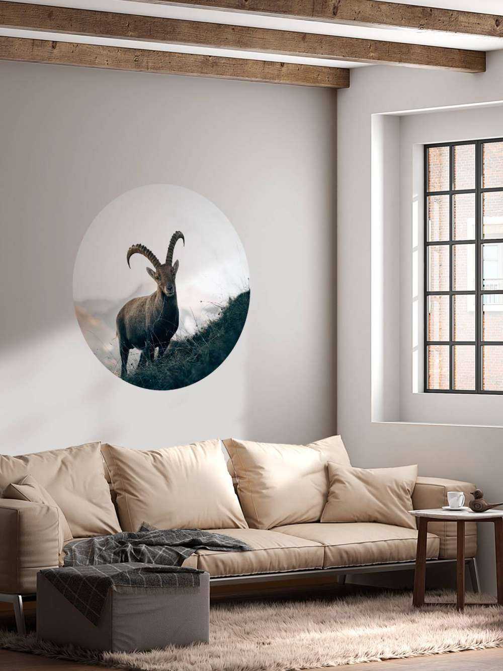 Steinbock in den Bergen