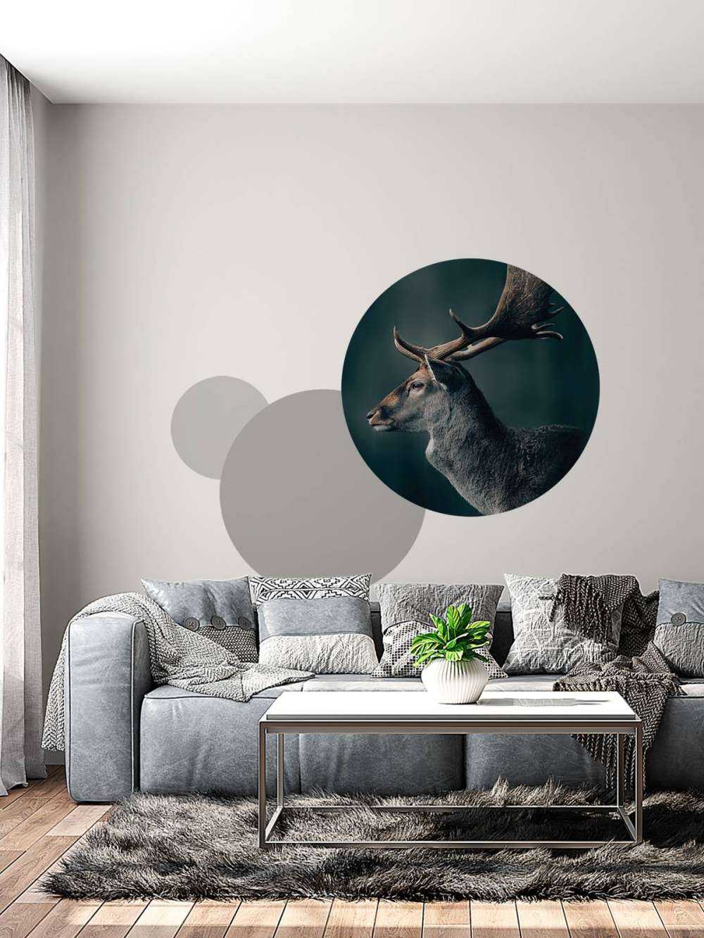 Damhirsch Nahaufnahme