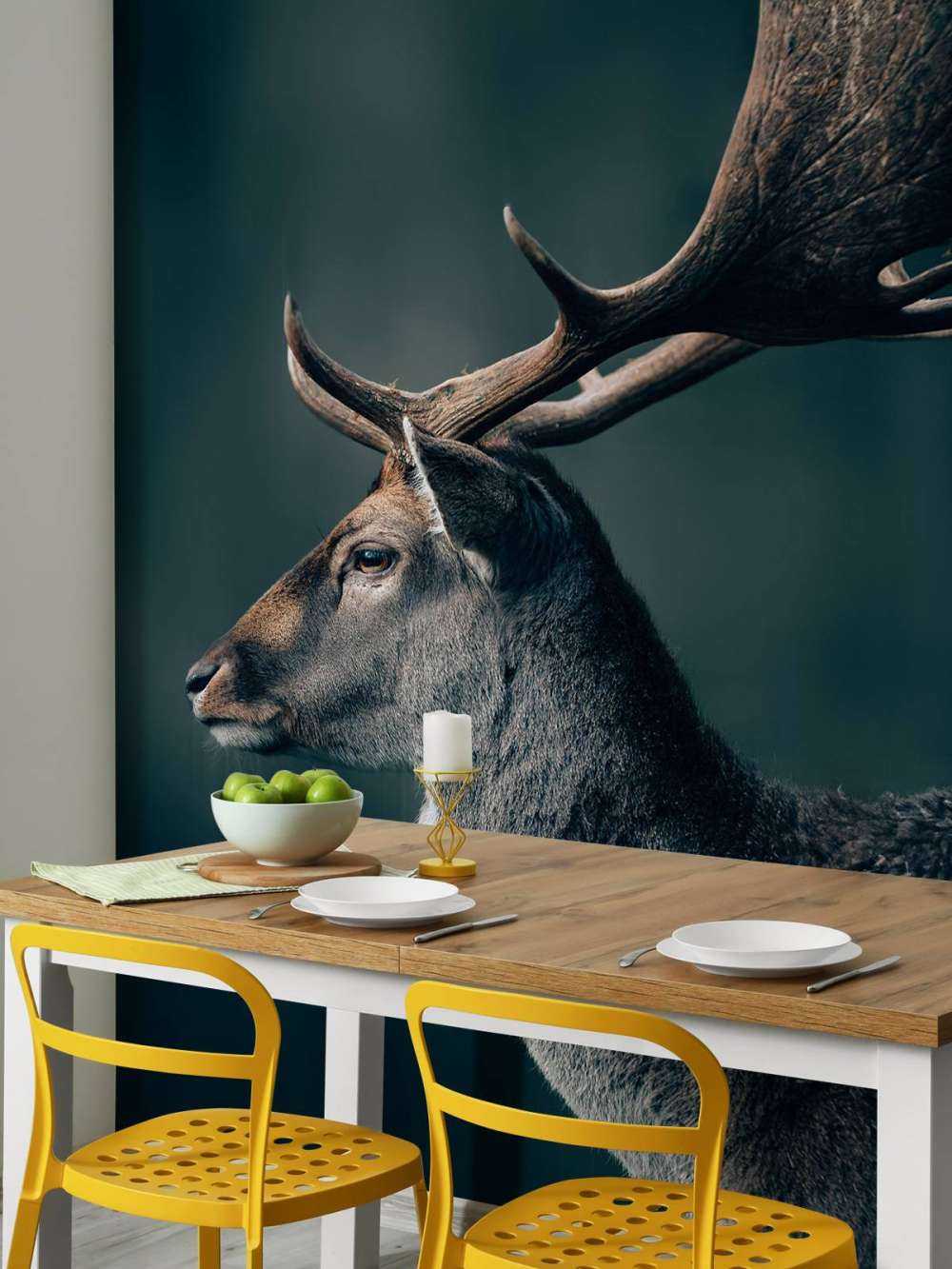 Damhirsch Nahaufnahme