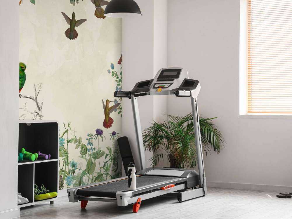 Felder bunter Vögel