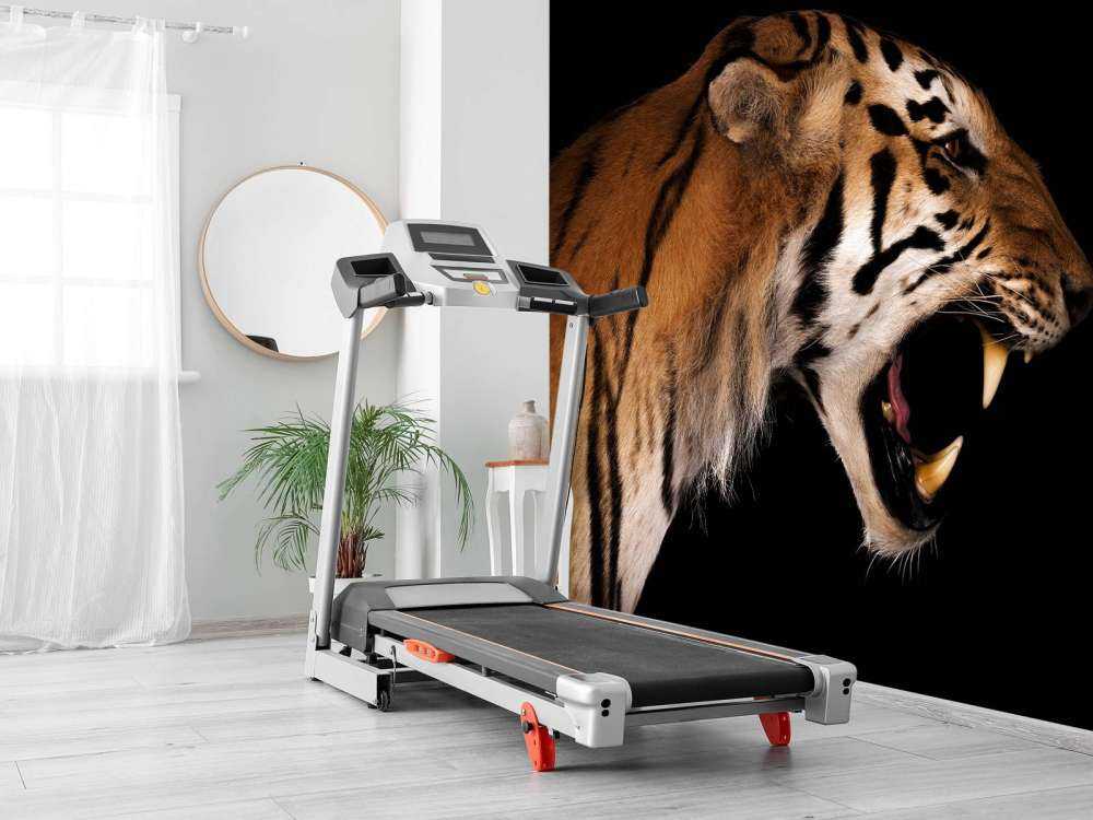 Brüllender Tiger