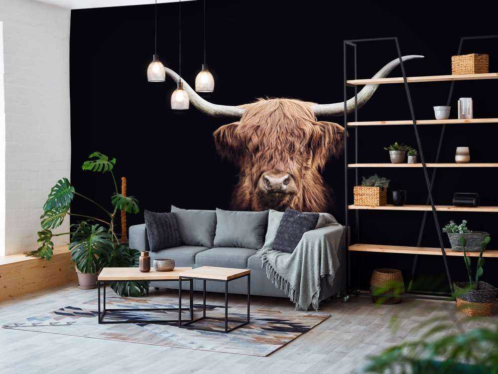 Alte Schottischer Hochländer