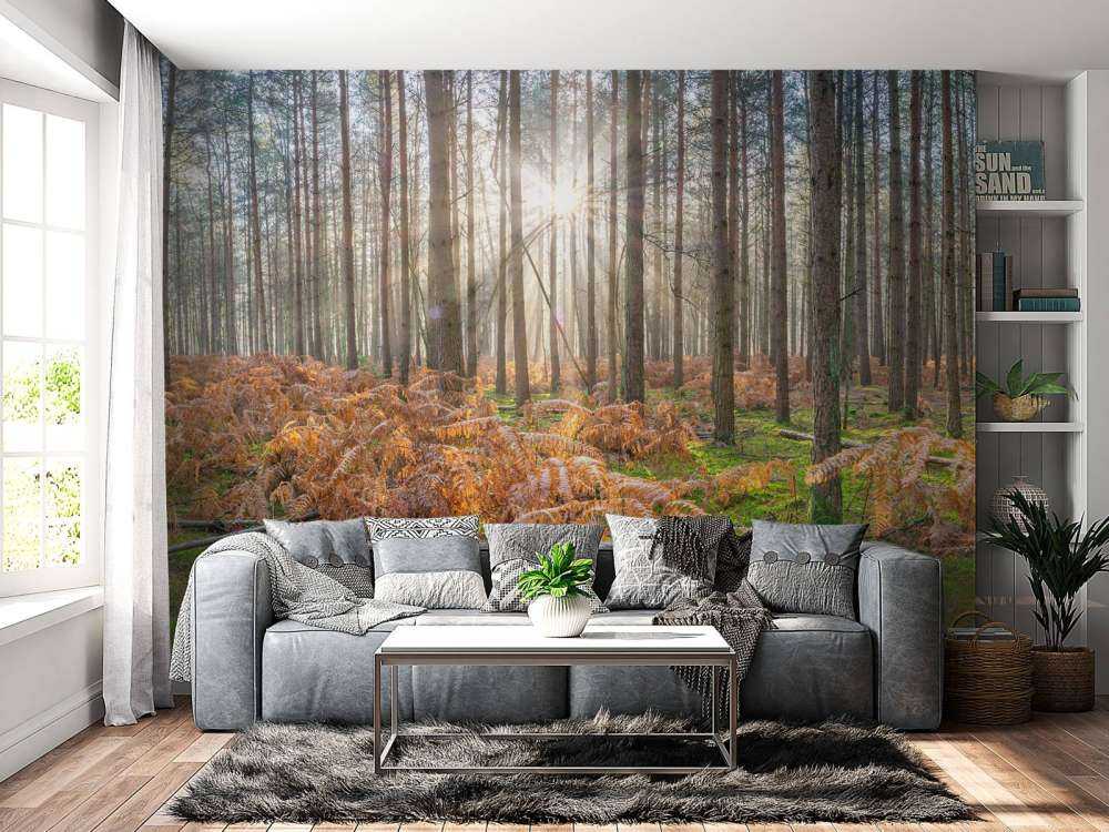 Wald bei Sonnenaufgang