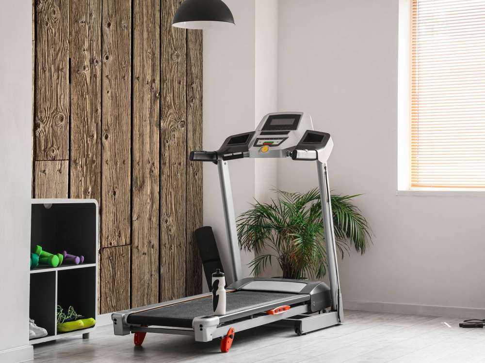Altes Holz 