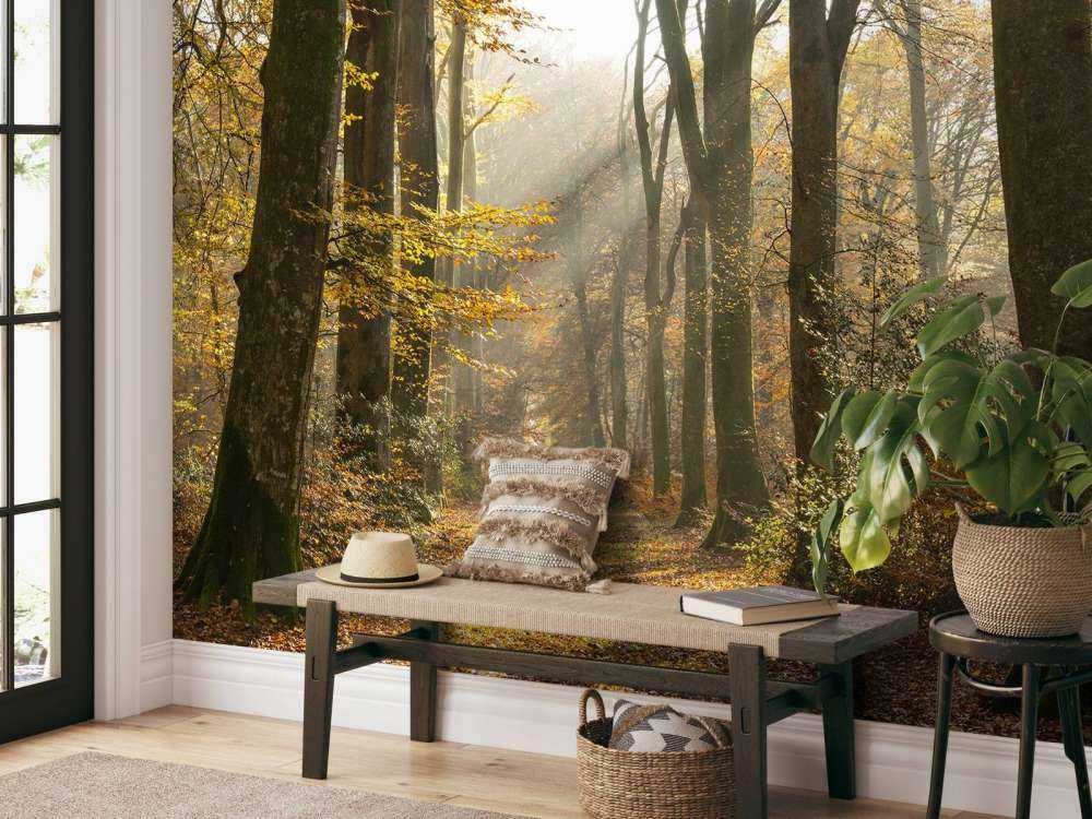 Wald von Crécy