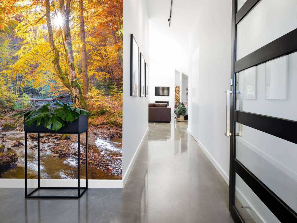 Herbst im wilden Wald