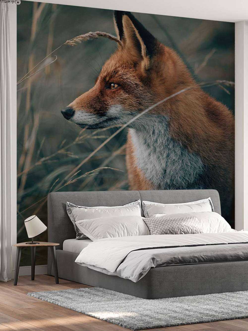 Fuchs in den Dünen