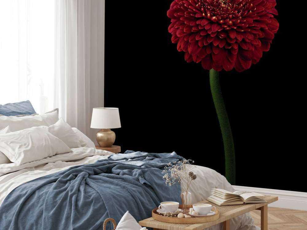 Rote Blume am Stiel