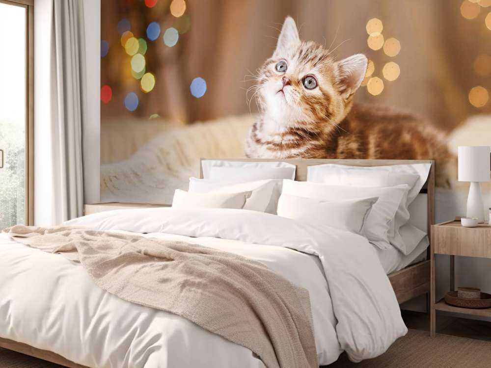 Niedliche Katze