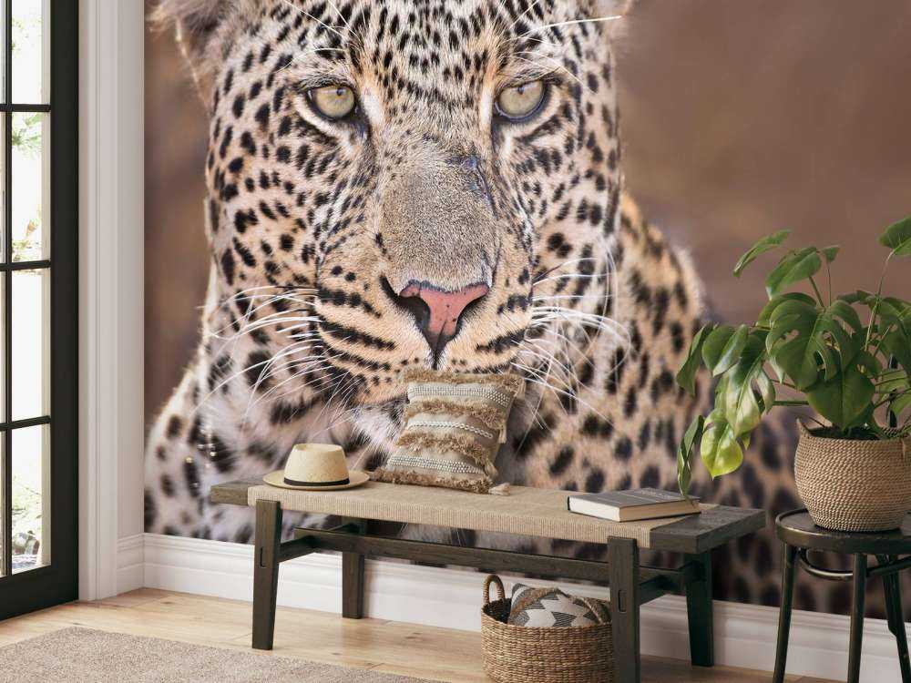 Leopard Porträt