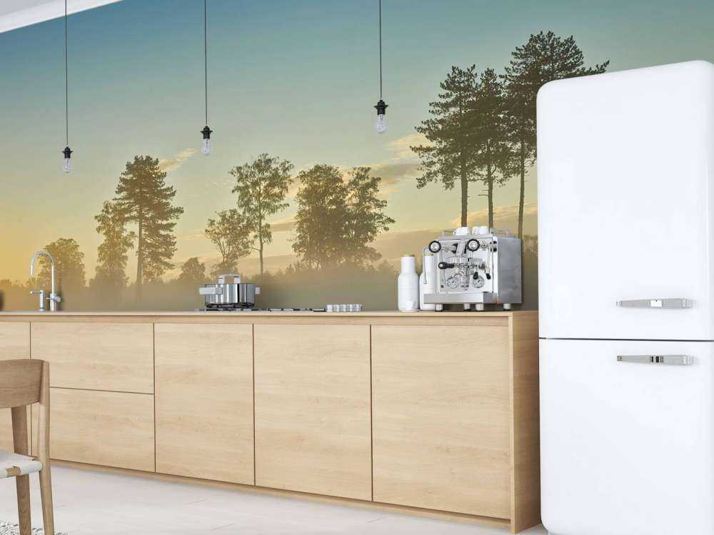 Neblige Moorlandschaft