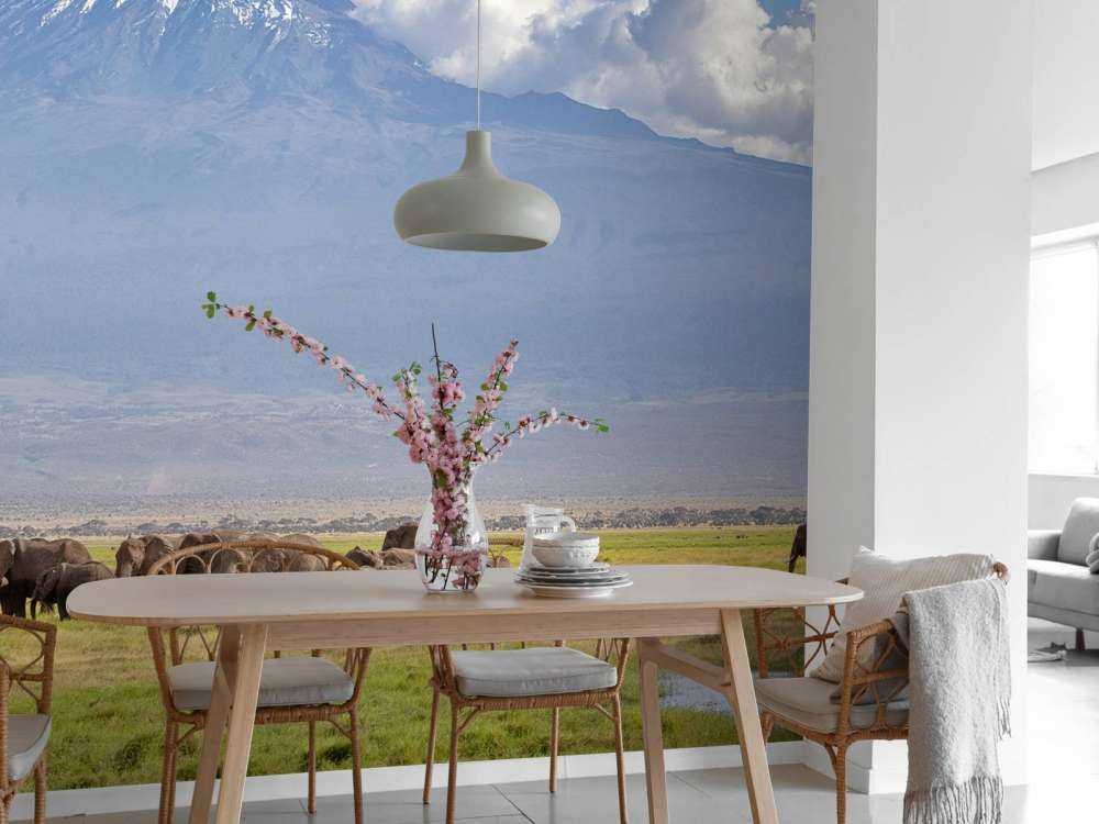 Afrikanische Elefanten