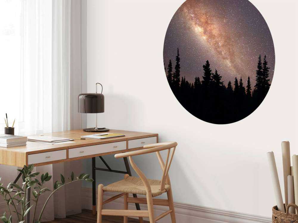 Milchstraße über Silhouette von Bäumen