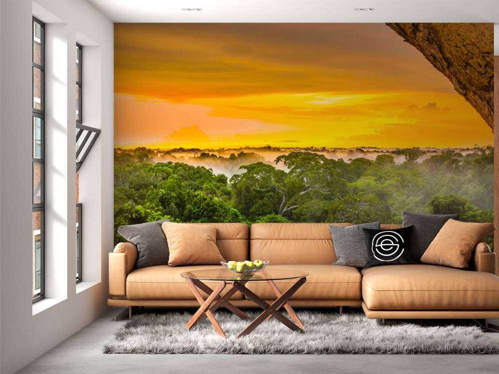 Regenwald Brasilien