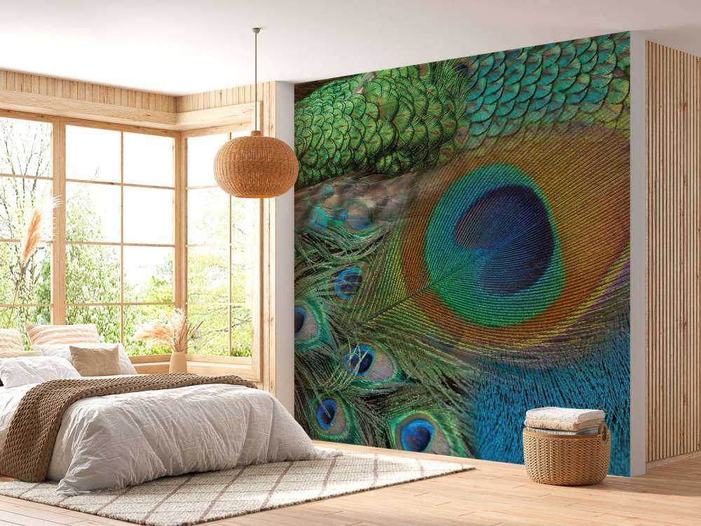 Pfau Federn auf Fototapet