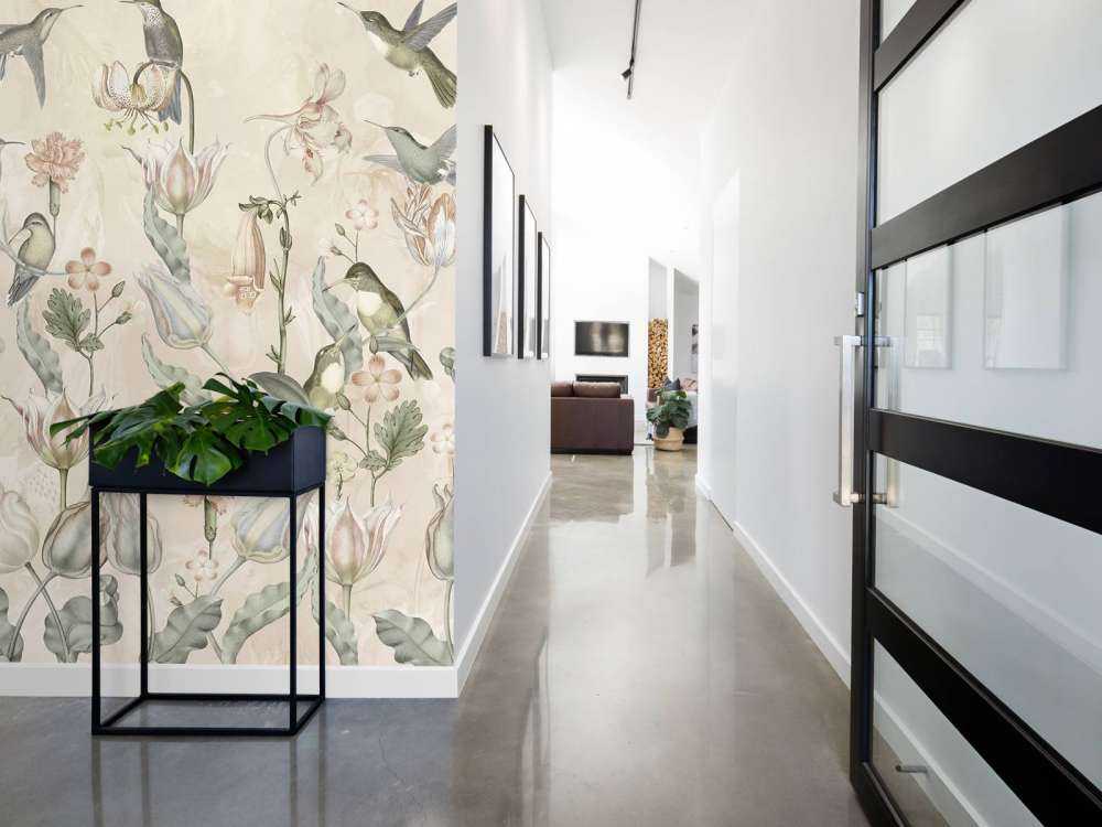 Frühling Kolibri Symphonie - Wüstenflüstern