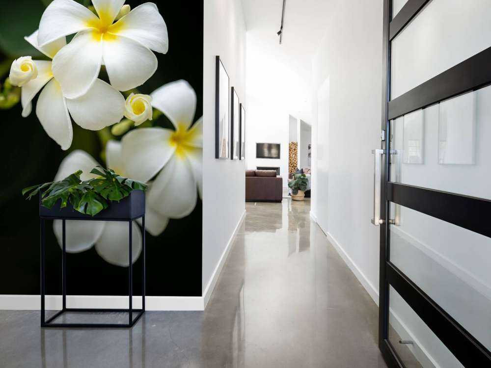 Nahaufnahme Plumeria