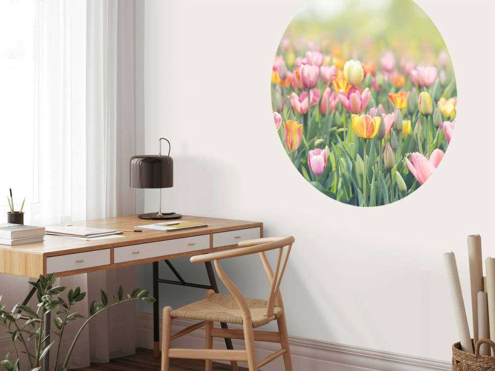 Bunte Tulpen