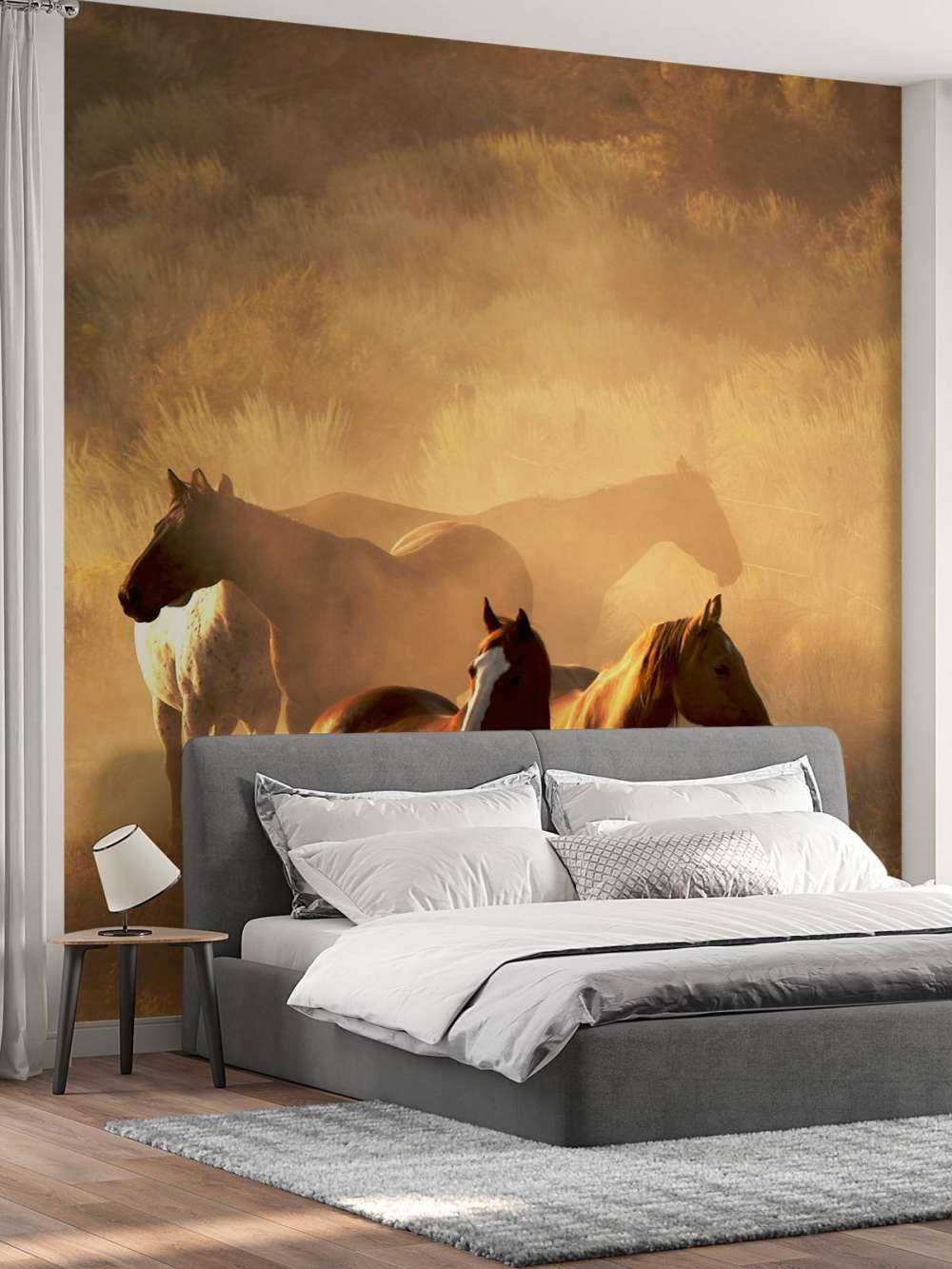 Pferde während des Sonnenuntergangs