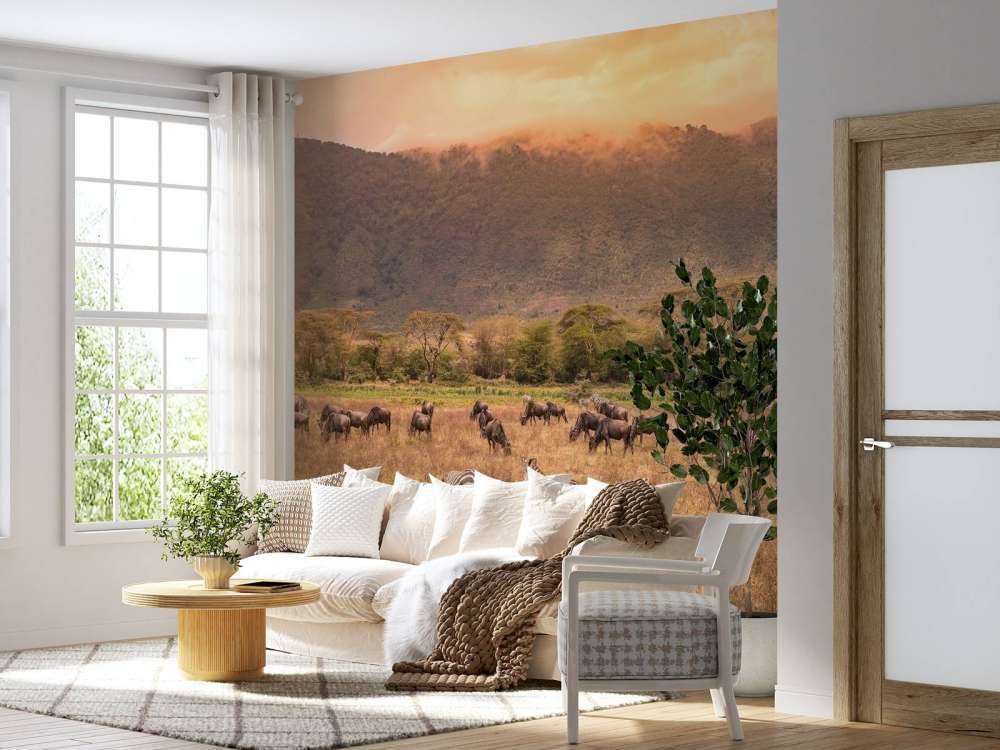 Savannenlandschaft mit Zebras