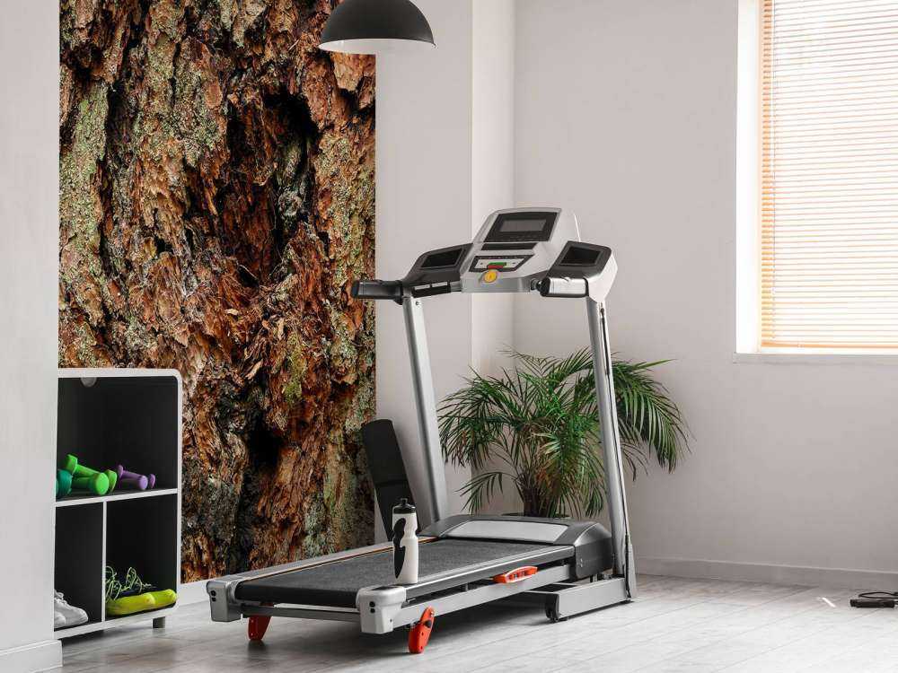 Baumrinde alter Baum 