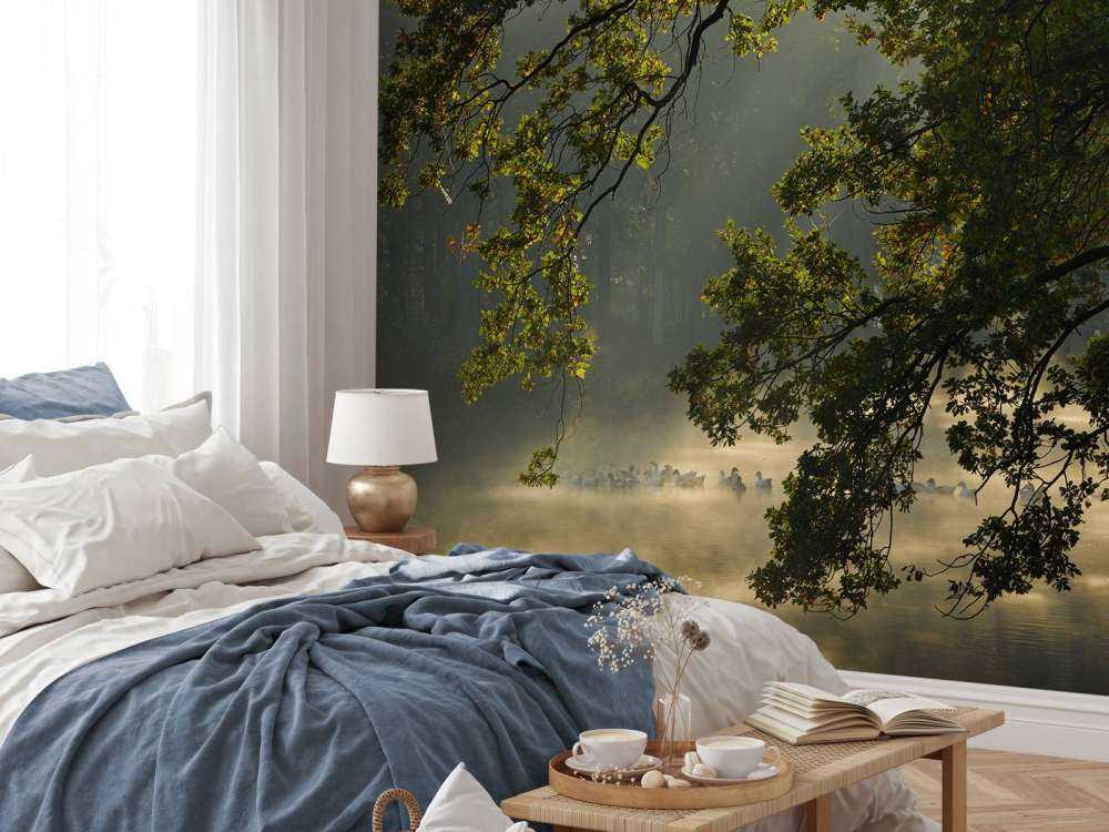 Überhängende Äste über dem Wasser