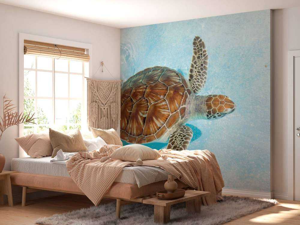 Schildkröte im Wasser