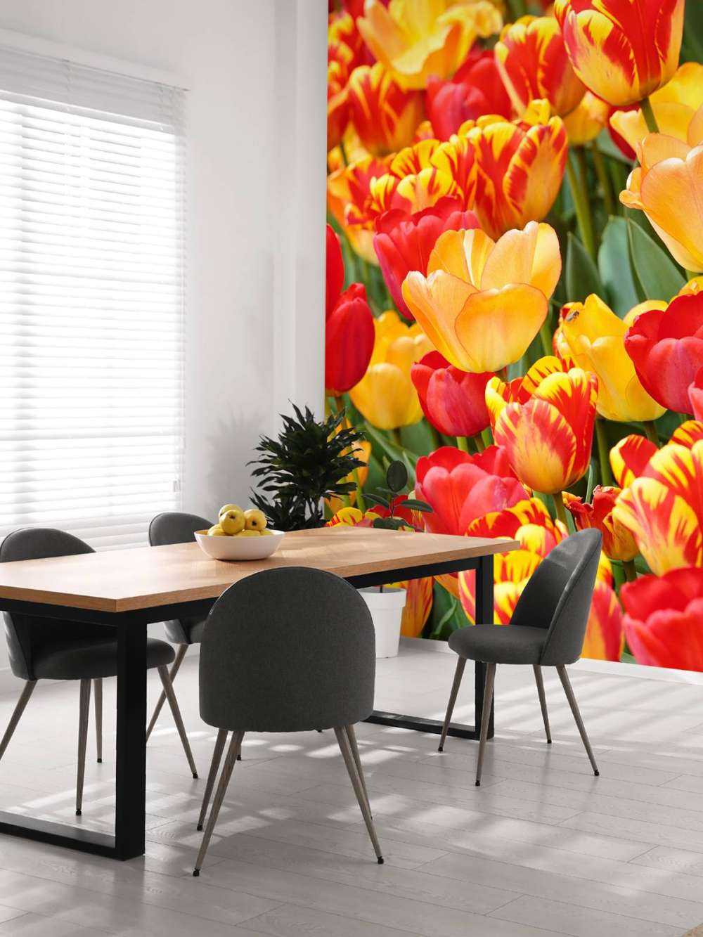 Farbige Tulpen