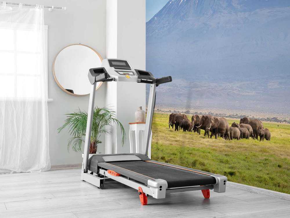 Afrikanische Elefanten