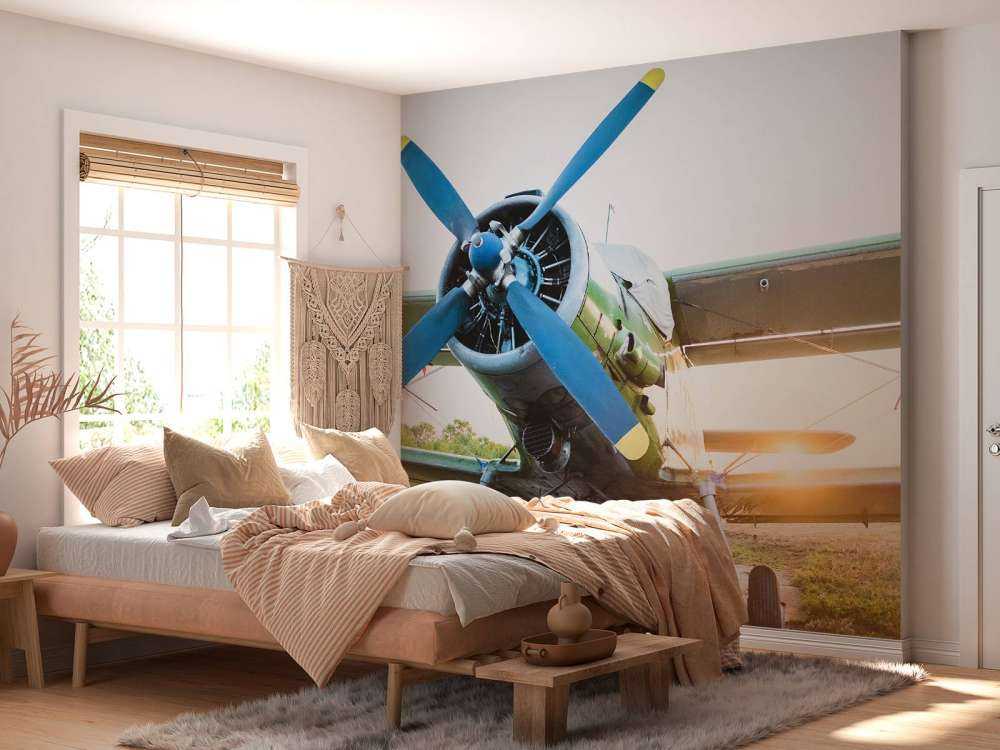 Kleines einmotoriges Privatflugzeug