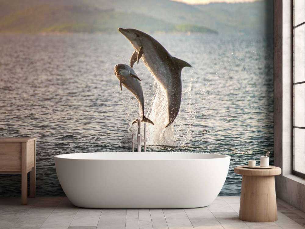 Zwei springende Delfine