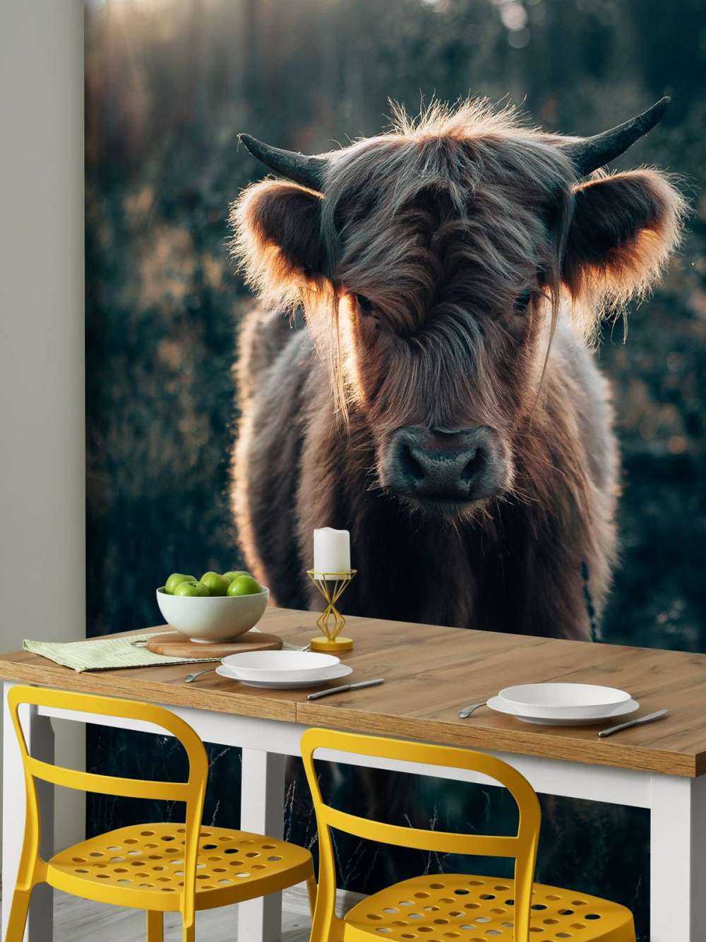 Junger schottischer Highlander