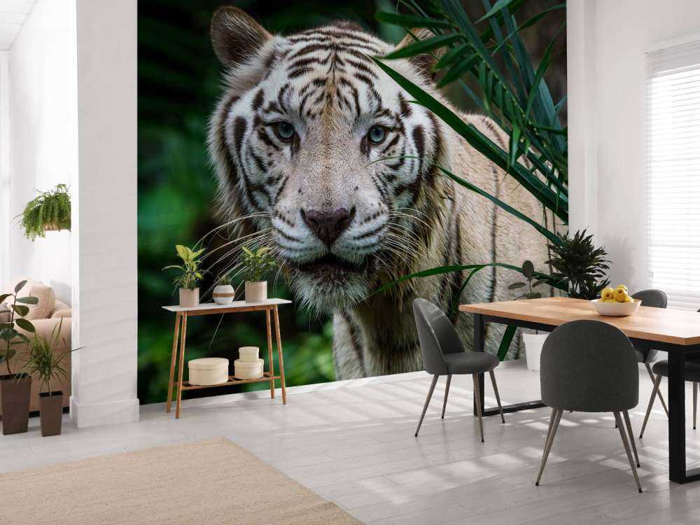 Weißer Tiger