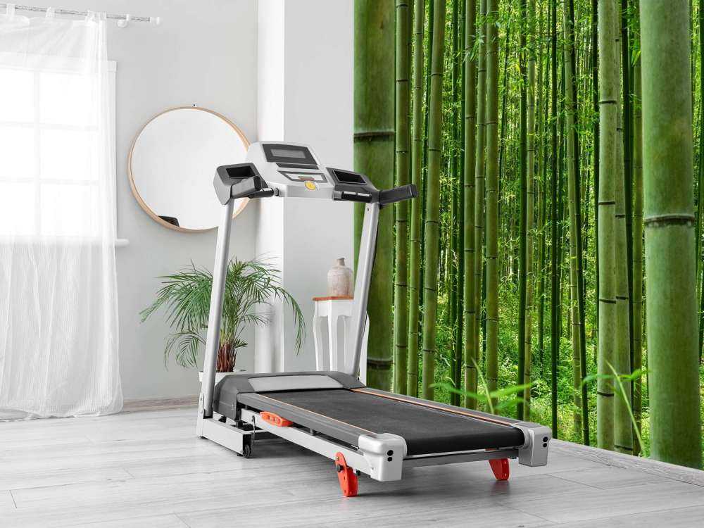 Inmitten des Bambuswaldes