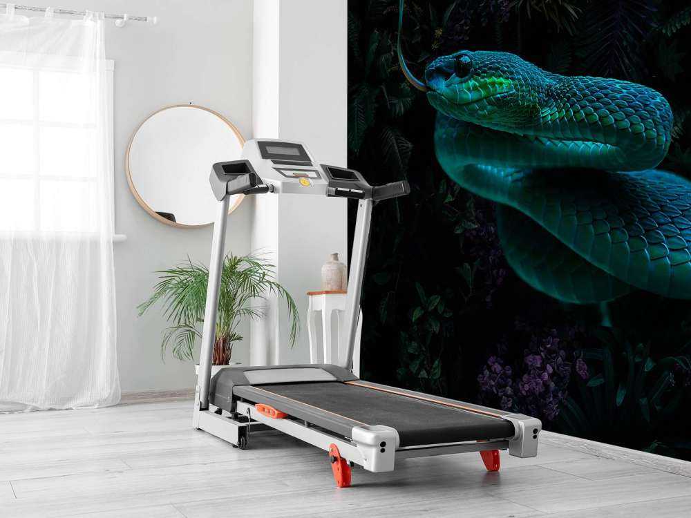 Jungle Snake