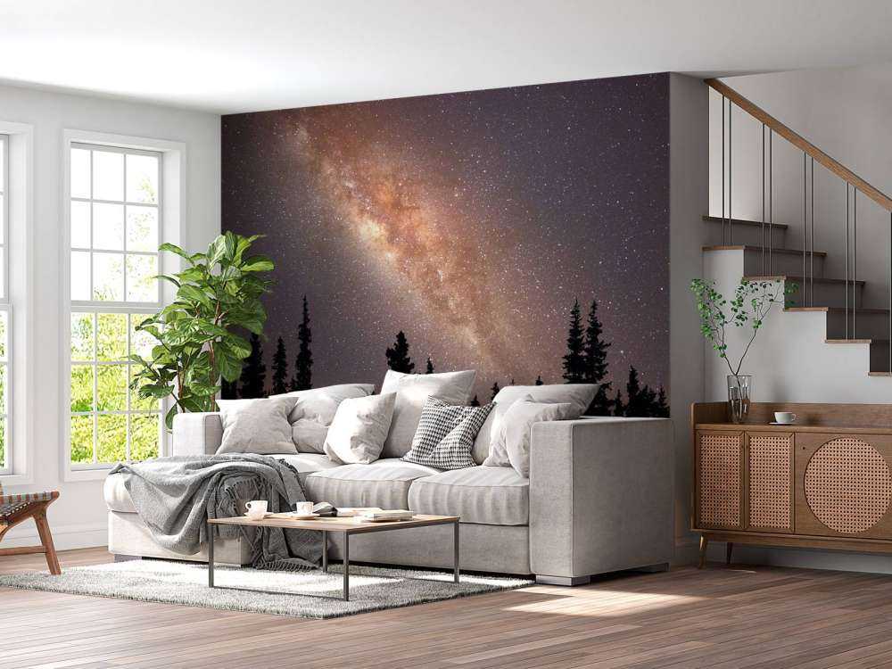 Milchstraße über Silhouette von Bäumen