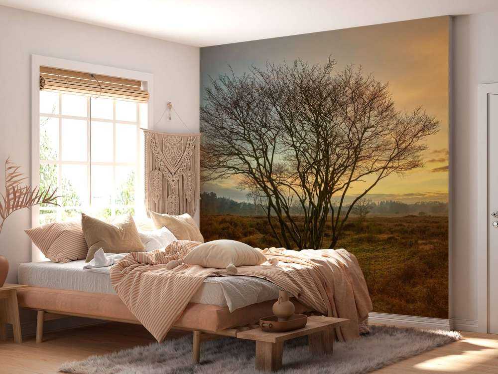 Sonnenaufgang auf der Heide