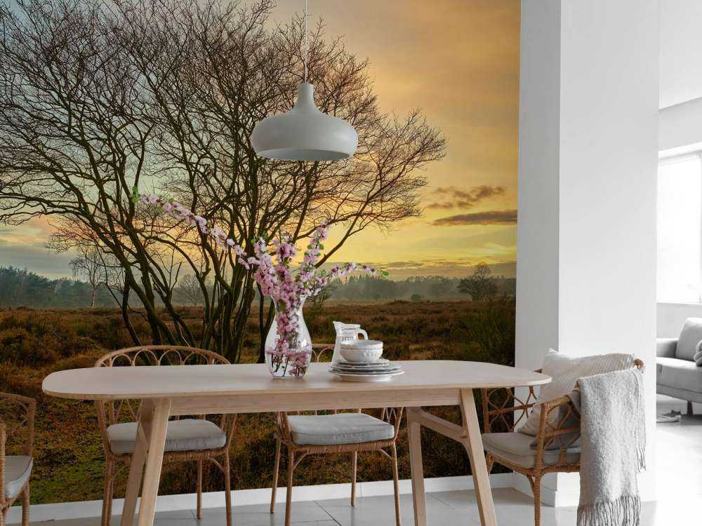 Sonnenaufgang auf der Heide