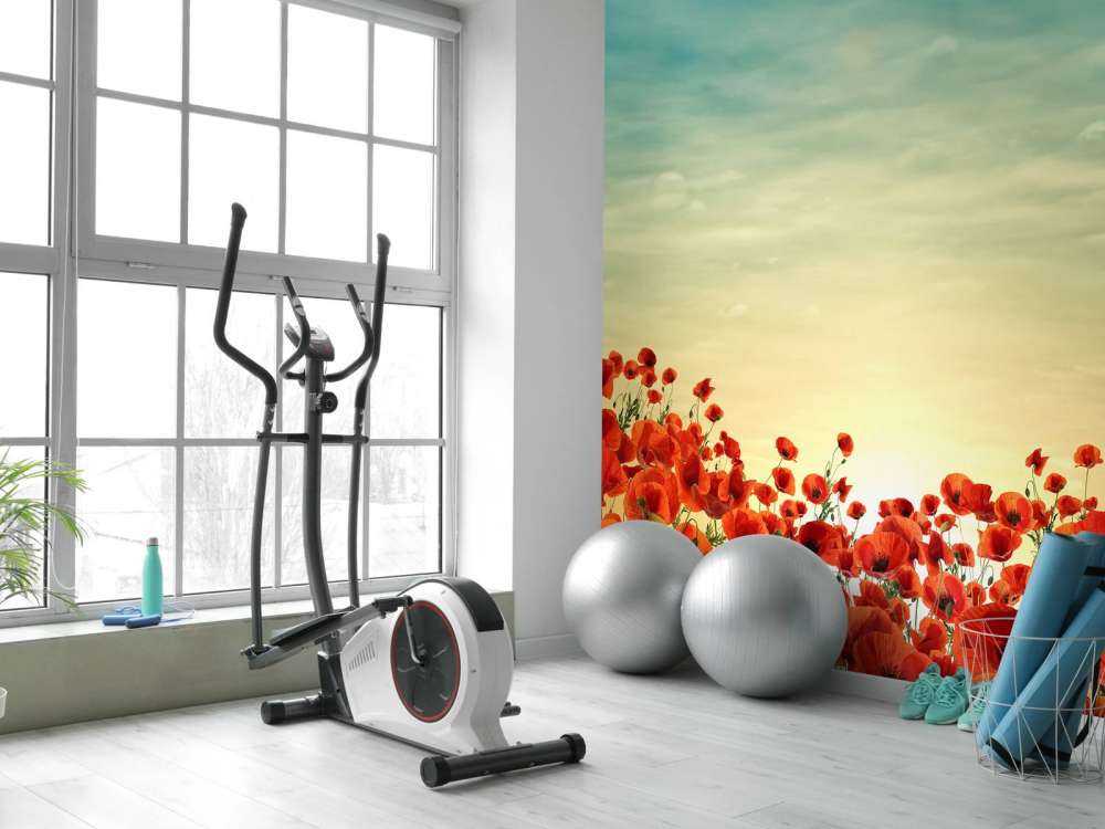 Mohnblumen mit Sonnenuntergang