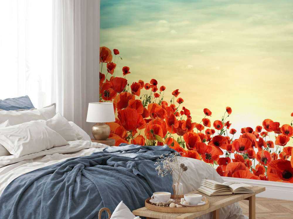 Mohnblumen mit Sonnenuntergang